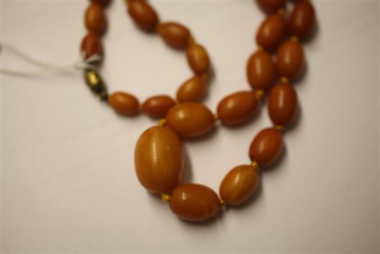 A single strand graduated amber bead necklace, 19in.